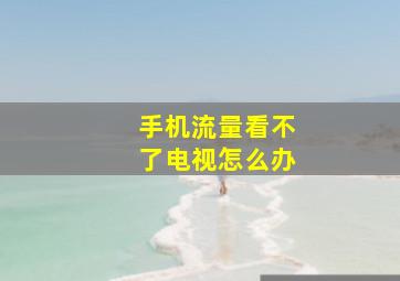 手机流量看不了电视怎么办