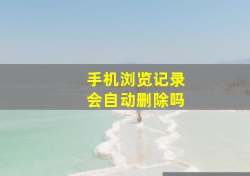 手机浏览记录会自动删除吗