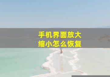 手机界面放大缩小怎么恢复