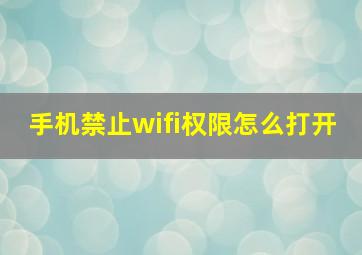 手机禁止wifi权限怎么打开