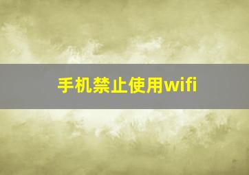 手机禁止使用wifi