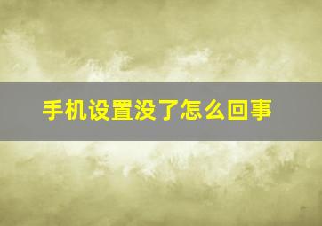 手机设置没了怎么回事