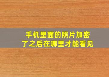 手机里面的照片加密了之后在哪里才能看见