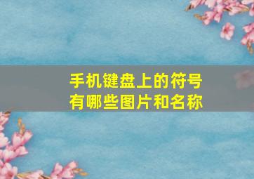 手机键盘上的符号有哪些图片和名称