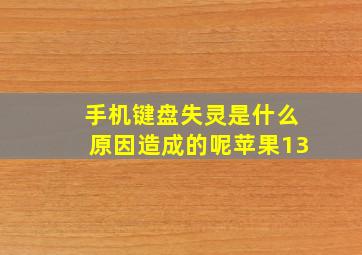 手机键盘失灵是什么原因造成的呢苹果13