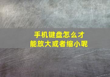 手机键盘怎么才能放大或者缩小呢