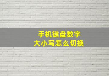 手机键盘数字大小写怎么切换