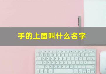 手的上面叫什么名字