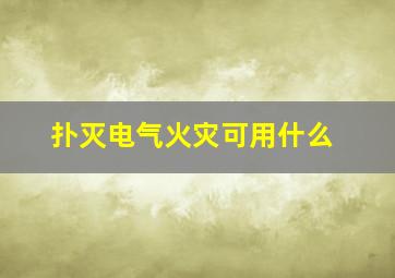 扑灭电气火灾可用什么