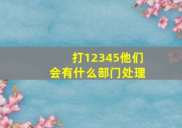 打12345他们会有什么部门处理