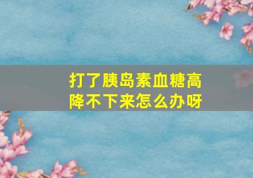 打了胰岛素血糖高降不下来怎么办呀