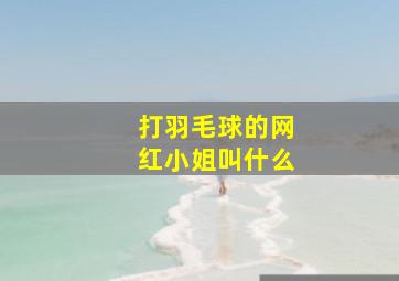 打羽毛球的网红小姐叫什么