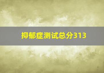 抑郁症测试总分313