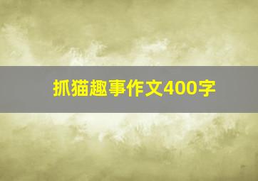 抓猫趣事作文400字