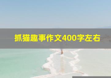 抓猫趣事作文400字左右