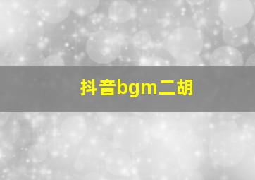 抖音bgm二胡