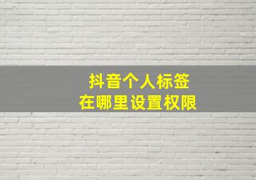 抖音个人标签在哪里设置权限