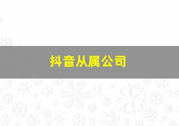 抖音从属公司