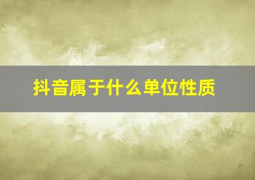 抖音属于什么单位性质