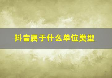 抖音属于什么单位类型