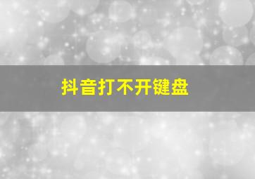 抖音打不开键盘