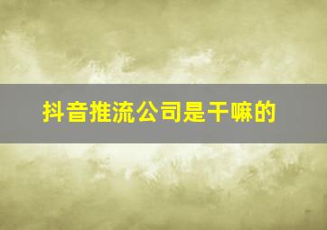 抖音推流公司是干嘛的