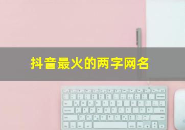 抖音最火的两字网名