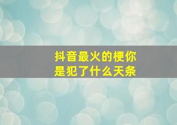 抖音最火的梗你是犯了什么天条