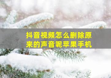 抖音视频怎么删除原来的声音呢苹果手机