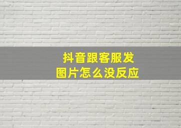 抖音跟客服发图片怎么没反应