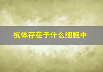 抗体存在于什么细胞中