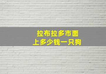 拉布拉多市面上多少钱一只狗