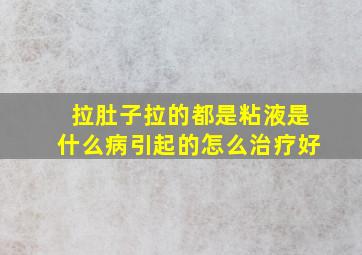 拉肚子拉的都是粘液是什么病引起的怎么治疗好