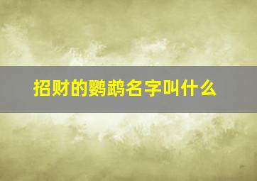 招财的鹦鹉名字叫什么