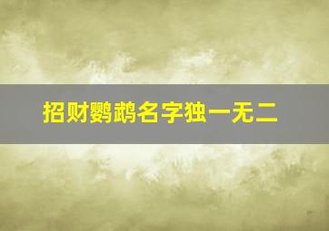 招财鹦鹉名字独一无二