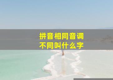 拼音相同音调不同叫什么字