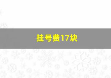 挂号费17块