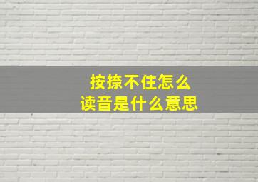 按捺不住怎么读音是什么意思