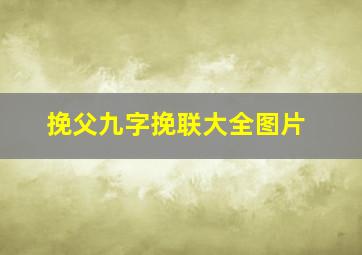 挽父九字挽联大全图片