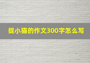 捉小猫的作文300字怎么写