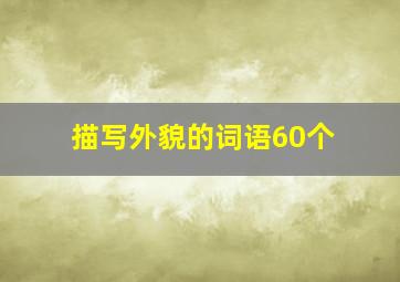 描写外貌的词语60个