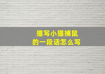 描写小猫捕鼠的一段话怎么写