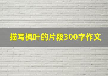 描写枫叶的片段300字作文