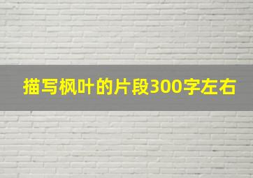 描写枫叶的片段300字左右