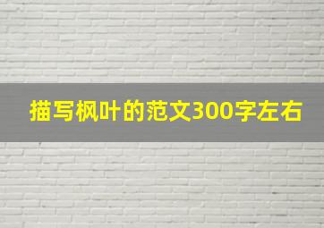 描写枫叶的范文300字左右