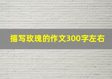 描写玫瑰的作文300字左右