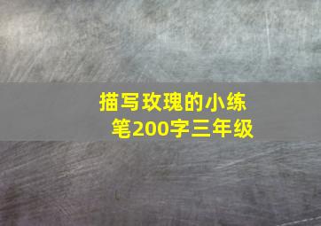 描写玫瑰的小练笔200字三年级