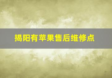 揭阳有苹果售后维修点