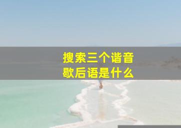 搜索三个谐音歇后语是什么