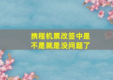 携程机票改签中是不是就是没问题了